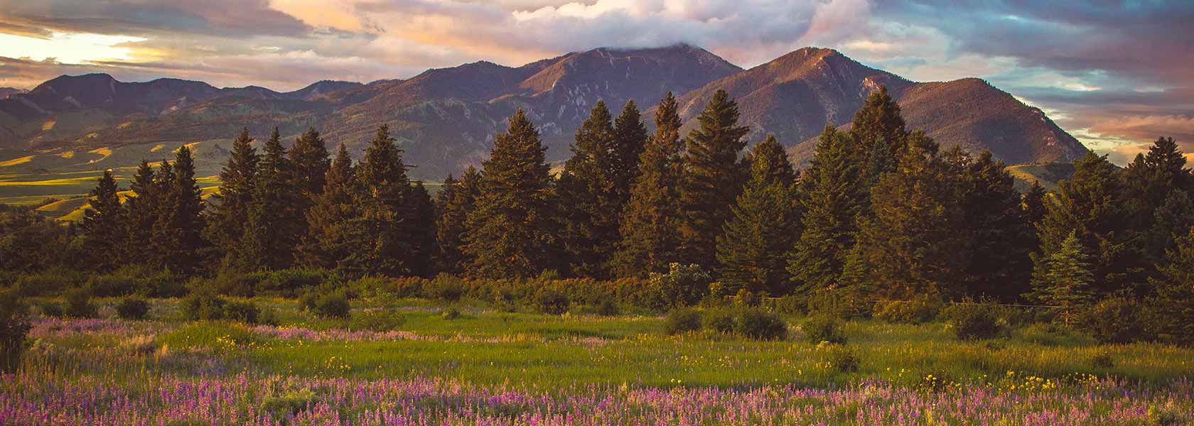 Billings Clinic Bozeman Behavioral Health