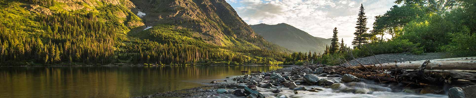 Billings Clinic Psychiatry Residency Program