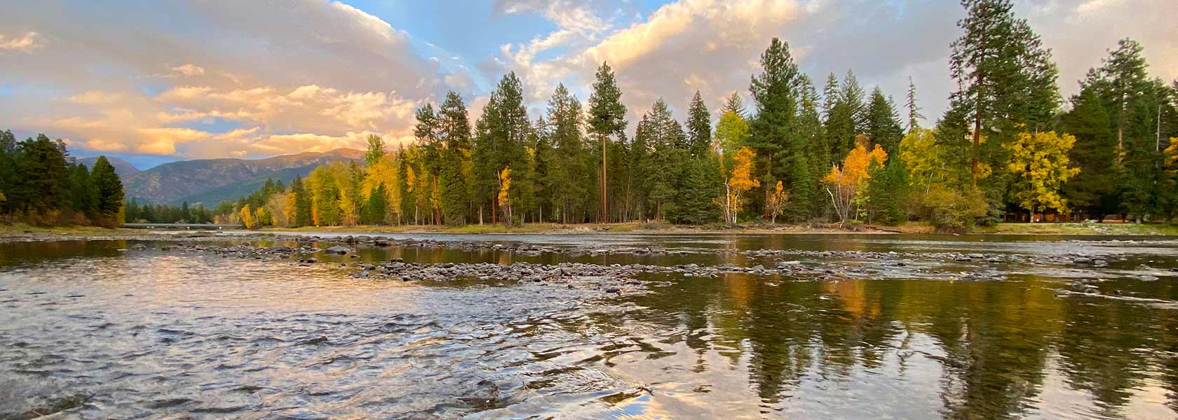 Billings Clinic Psychiatric Residency Program