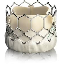 TAVR Devices - Edwards Device